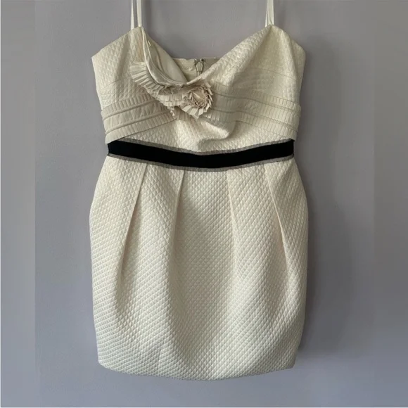 BCBGMaxAzria Strapless Leather Rosette Cocktail Party Dress, EC, Bone, Size 10 - Picture 9 of 9